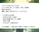 エーテル体をスキャンして不調の原因を浄化します 霊的影響・カルマ・滞りをクリアにするヒーリング イメージ3