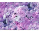 あの人の本気度を視ます ✴️本命か信じて大丈夫なお相手か明らかにします✴️ イメージ6