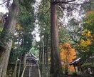 幸せを引き寄せるために。タロット占いいたします 人間関係、仕事、恋愛、複雑恋愛、復縁。前向きになる鑑定を。 イメージ4
