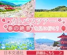 企業に目的に沿ったデザインを提供いたします テキスト第一のデザインを心がけています！ イメージ3