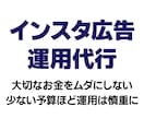 少額予算で効率運用！インスタ広告運用代行します 【現役WEB広告運用者】大切なご予算を無駄なく活かします！ イメージ1