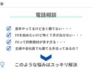FXのお悩みなんでも聞きます FXのあらゆる悩みをプロの視点からスッキリ解決！ イメージ2