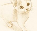 あなたの大切な猫ちゃんをイラストにします サンプルのように繊細なタッチでお描きします。商用利用◎ イメージ8