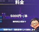 丸投げセット！！どんなジャンルでもやります 一括丸投げ動画編集セット！！どんなジャンルでもどうぞ！！ イメージ3