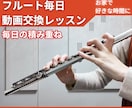 1か月間最大毎日フルートの動画交換レッスンをします 京都市立芸術大学卒♪毎日コツコツが近道！モチベーションが続く イメージ1