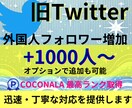 X・旧Twitterの外国人フォロワーを増加します X・旧Twitterのフォロワーの増加します イメージ1