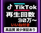 TikTok再生数30万回＆いいねも増やします 【いいね10000付き】少量注文のご対応可能！減少保証付き！ イメージ1