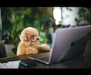獣医師がブログ記事、コラム記事書きます 獣医師が様々な記事書きます。SEO対策も イメージ2