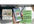12月限定！プロが3千円で食事指導します 1回1万円のプロ指導を3千円で。食事管理を伝授します！ イメージ3