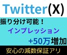 Twitterのインプレッション増やします ブルーバッジの維持にも有効です！ イメージ1