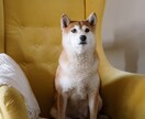 もう大丈夫！もやもやなお悩みを言語化して整理します 大きな壁に見える問題も、正体を明らかにして冷静に分析します。 イメージ9