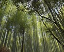 恋愛・仕事・人間関係/どんなお悩みもお聞きします 今日より少し、明日を好きになれるように！ イメージ2