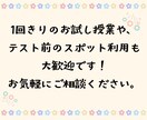 復習動画付き！小中学生向けオンライン家庭教師します 手書き解説と授業動画付き！丁寧な指導で復習も安心です。 イメージ8