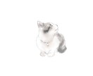 大切な家族を優しいタッチで描きますます ナチュラルで飾りやすいペットアートを制作 イメージ3