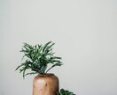 made in Japanでコーディネートします 高品質・安心の国産家具に囲まれるお部屋♪インテリアはプロと！ イメージ8