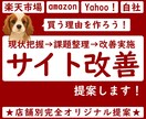 店舗改善！売上向上施策ご提案します サイト改善講座 / 楽天 Amazon ヤフー 自社サイト イメージ1