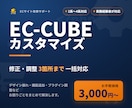 EC-CUBEのカスタマイズ・修正を承ります 2系〜4系対応。実務6年目のエンジニアが迅速丁寧に対応 イメージ1