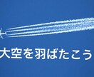 現役パイロットが指導！自社養成の対策を致します 【これがパイロットへの近道】パイロットに興味がある方必見 イメージ1