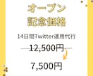 丸投げOK1日30リプ30いいねします あなたのココナラ・note・BrainをTwitterで宣伝 イメージ2