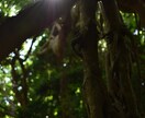景色や日本の観光地の写真を提供いたします 待ち受けやいろいろな場面でお使いください。 イメージ2