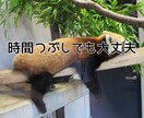 ワンコインで３０分⭐️集中チャットでお話しします LINE感覚でお手軽に・電話が苦手でも大丈夫！話してスッキリ イメージ7