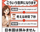 英語プレゼン・商談の原稿と質疑を音声にします 怖いのは原稿ではなく、質疑応答のほうです イメージ3