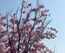 我慢は終わり | 本当のあなたを解放させます 自分らしさを大切にあなたの自己理解をお手伝いします イメージ1