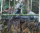 神社に代理参拝します 京都・奈良・大阪内の神社参拝おまかせあれ イメージ1