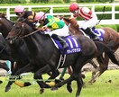 大井競馬・究極の馬券術教えます 競馬（大井競馬等）に興味のある人 イメージ1