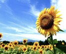 不登校で悩んで方へ。まずは一歩をお伝えします あなたに寄り添い、必ず元気にします！ イメージ1