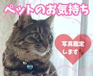 大切なペットの“心の声”を受け取ります 写真鑑定、ペットのお気持ちを受け取ったままお伝えします。 イメージ1