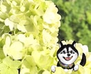 思い出のお写真の中にお好きなイラストお描きします ウェディングアイテム・記念日や誕生日にもぜひ！ イメージ3