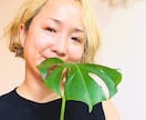 チャネラーあいのお試し鑑定❤️はこちらでございます こんな事、誰にも話せない。身近な人に相談できないあなたへ イメージ3