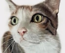 あなたのペット・犬・猫などの似顔絵を描きます 写真のようなリアルな あなたのペットのイラストを製作します イメージ1