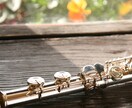 フルートの演奏音源、提供致します 相談頂ければ、その他もろもろ演奏致します。 イメージ1