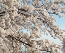 電話占い❤️恋愛に関するお悩み占います 未来は変えられます。幸せな未来を手に入れましょう。 イメージ1