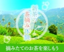 とにかく300×250バナー作ります 兎にも角にもほしいかた安く早くつくります！ イメージ2