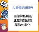 画像認識AIやその他AIを使ったプログラム作ります 生成AI、画像認識、物体検出、自動記事作成、AIエージェント イメージ1