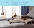 採用担当者の目線で志望動機・自己PRを作ります 採用選考200件超の人事×心の専門家が担当します イメージ9