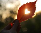 貴方の恋愛相談僕が聞きます 失敗を重ねてきた僕だからこそ言えることが沢山あります イメージ1