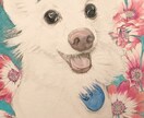 写真からリアルな鉛筆・色鉛筆の似顔絵をお届けします 動物好きな画家が心を込めて絵がきます。 イメージ5