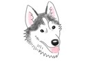 愛犬のイラストを描きます 世界一可愛いあなたの愛犬イラスト柔らかいタッチのイラスト イメージ5