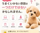 相談者に選ばれるカウンセラーの仕組み作り支援します 集客・導線・HP・セールス・スキルなど必要部分を丁寧コンサル イメージ3