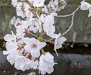 保育の悩み聞きます 幼少期(2歳児から)の育児の悩みをぶつけてください。 イメージ9