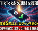 TikTok永久凍結アカウントの復旧を支援します 【成功報酬型】ログイン不能でも3週間以内に復活させた経験あり イメージ1