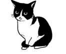 ペットやペットとご家族の似顔絵を描きます バラバラの写真から1枚の絵に！ペットと家族の集合イラスト イメージ5
