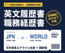外資系企業向け英文履歴書・職務経歴書を作成します 元外資系エアライン出身者×翻訳者が応募国に合わせて作成 イメージ1