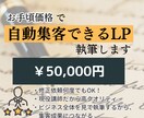 お手頃価格で自動集客できるLPを執筆します 現役講師が優良な見込み客だけを集めるLP作成します イメージ1