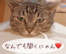 ママさんの話聞きます ご主人や子育ての愚痴、ママ友の悩みなどなど何でも聞きます イメージ1