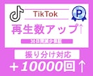 TikTok再生数＋10,000増やします TikTok再生回数の他にいいね数オプションもございます♪ イメージ1